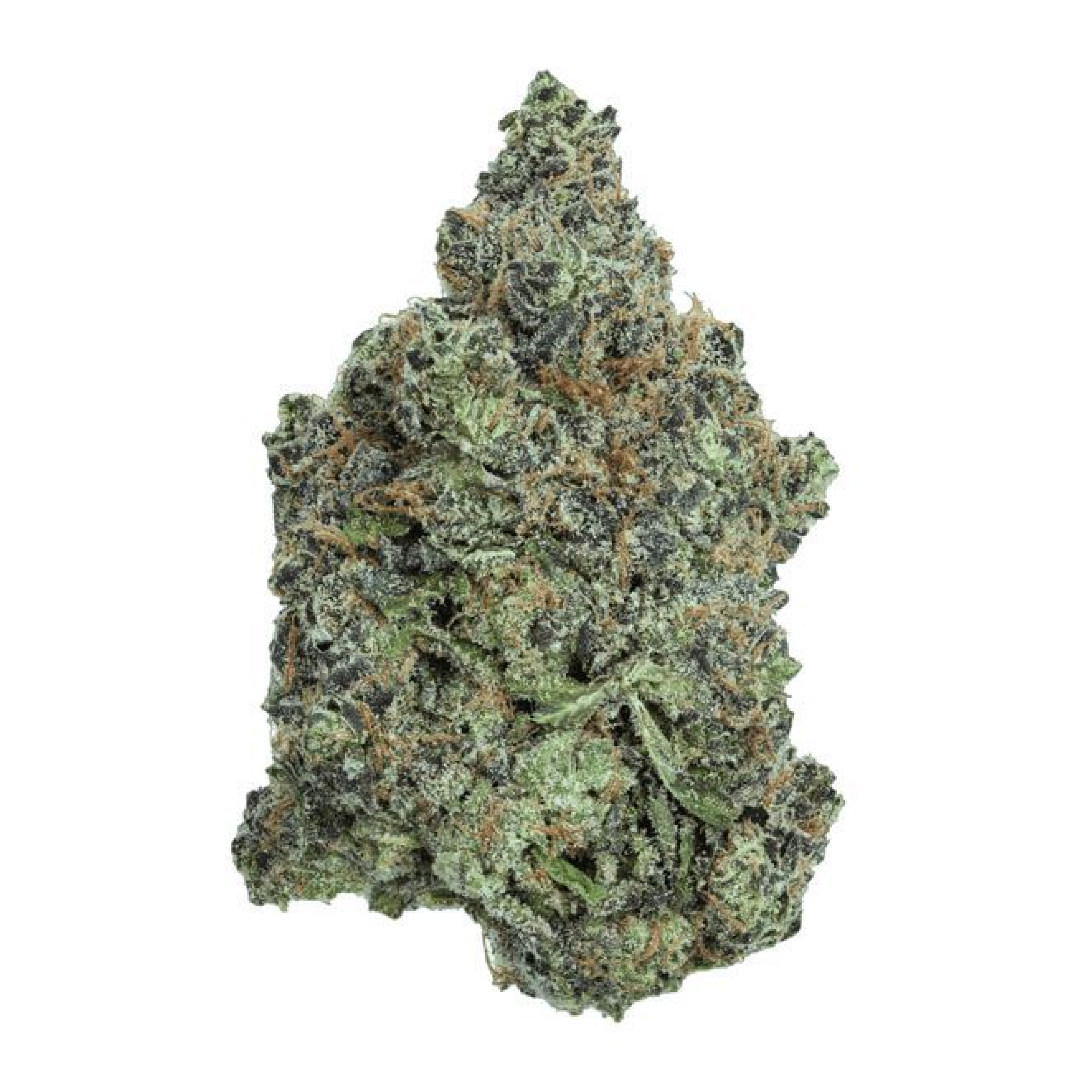 Image of Buuo Beat 26/1 Chem de la Chem